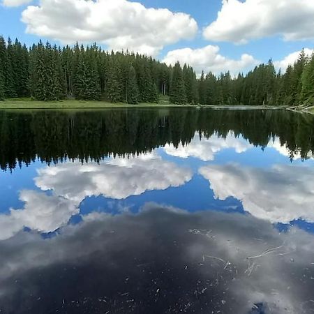 Apartman Strazny Exteriör bild