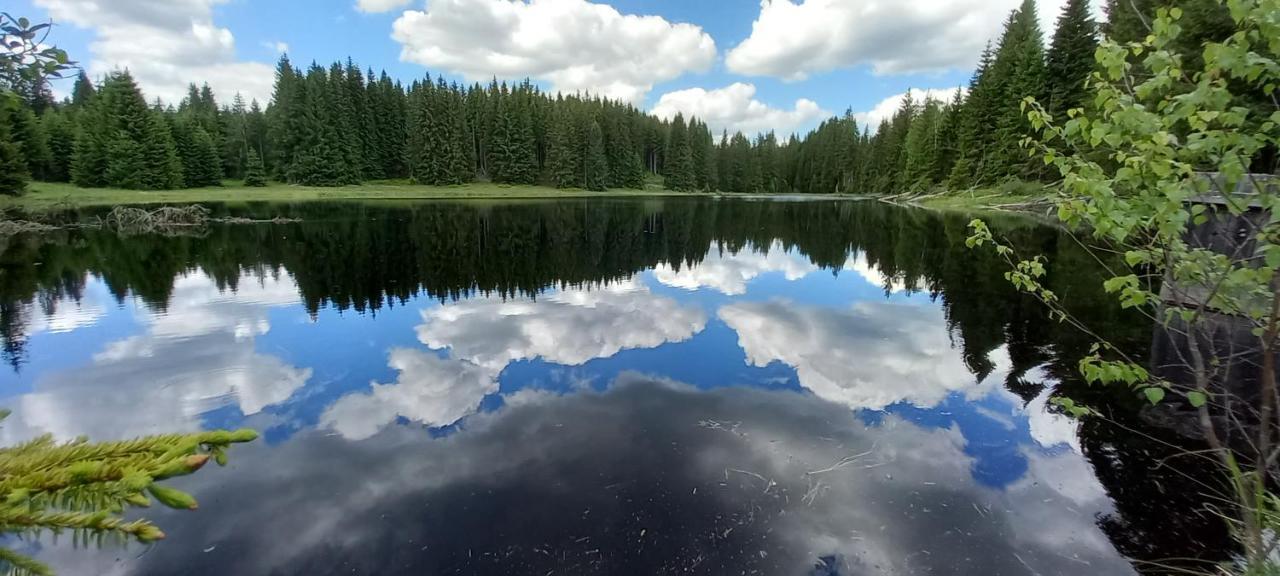Apartman Strazny Exteriör bild