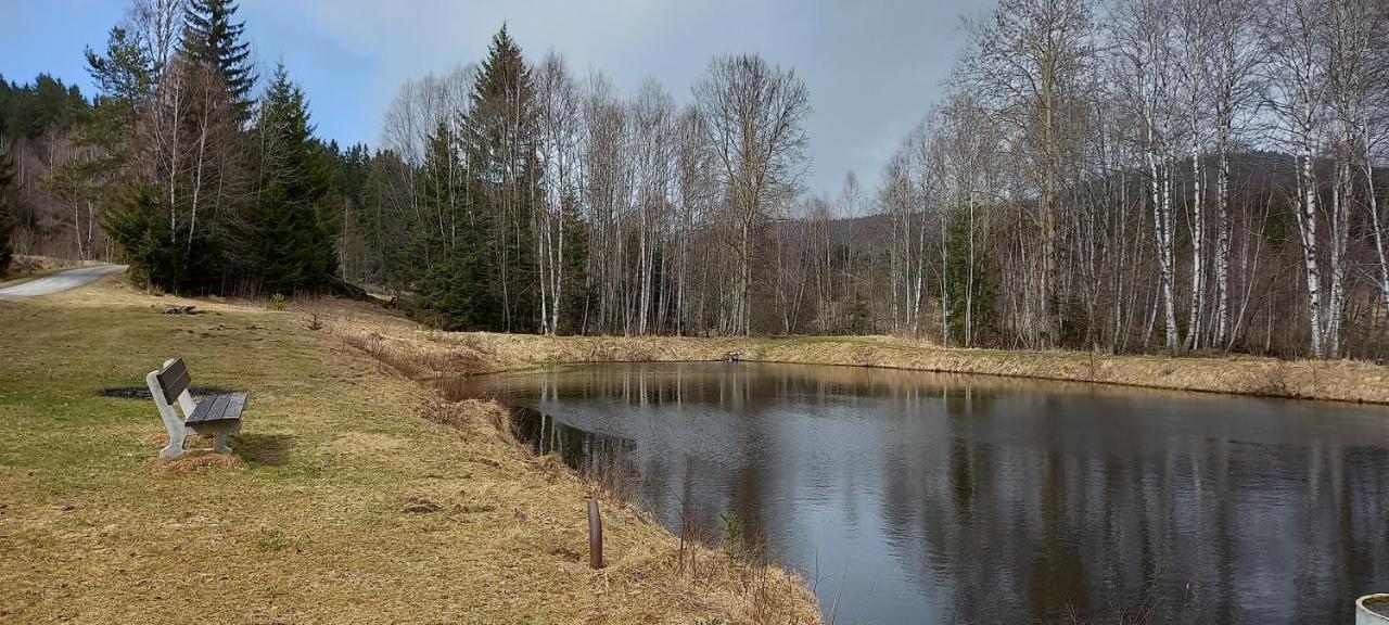 Apartman Strazny Exteriör bild
